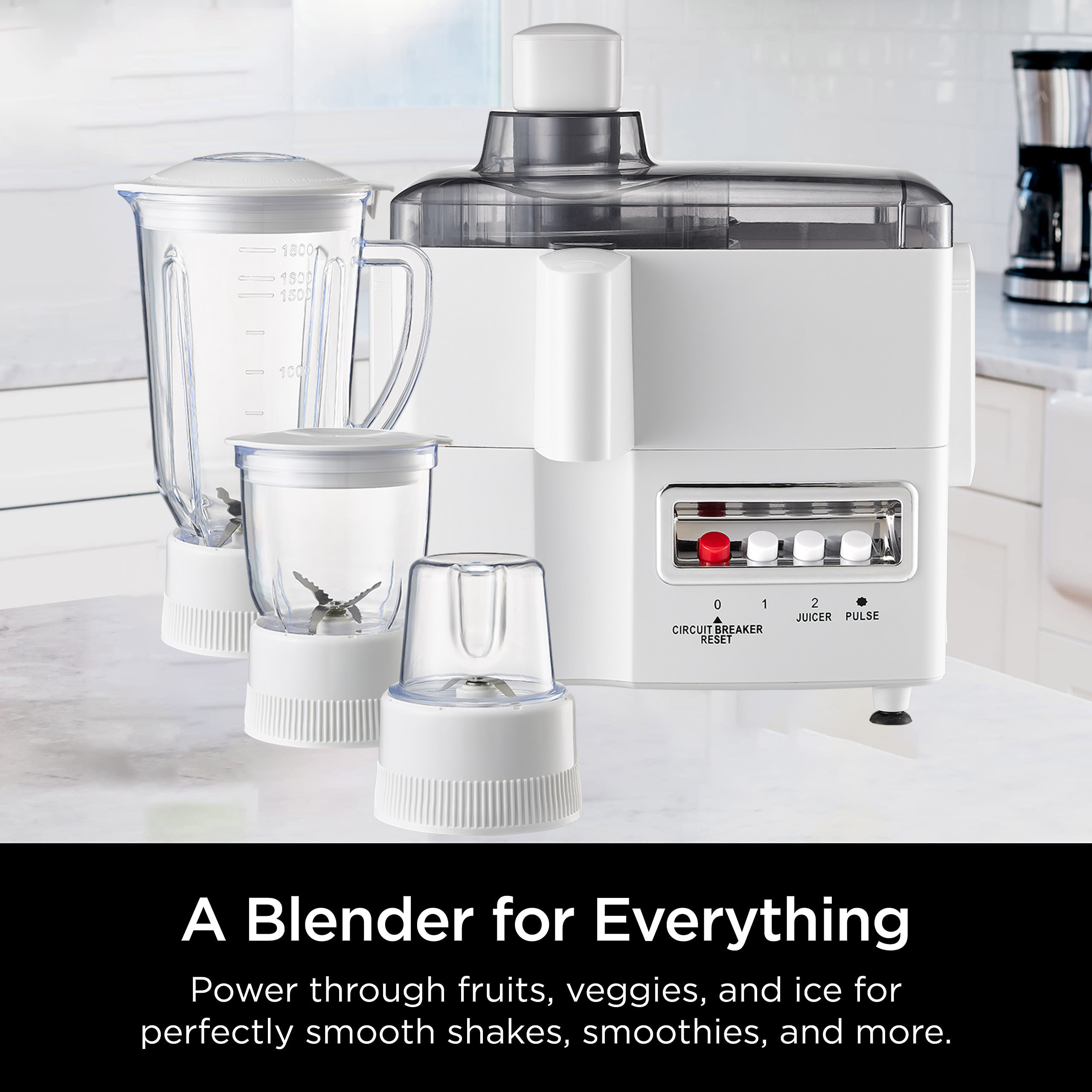 4 in 1 Multi-Purpose Household - Blender recension och pris
