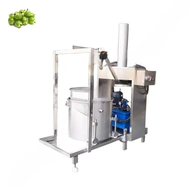 Industrial hydraulic juicer wi - Juicer recension och pris