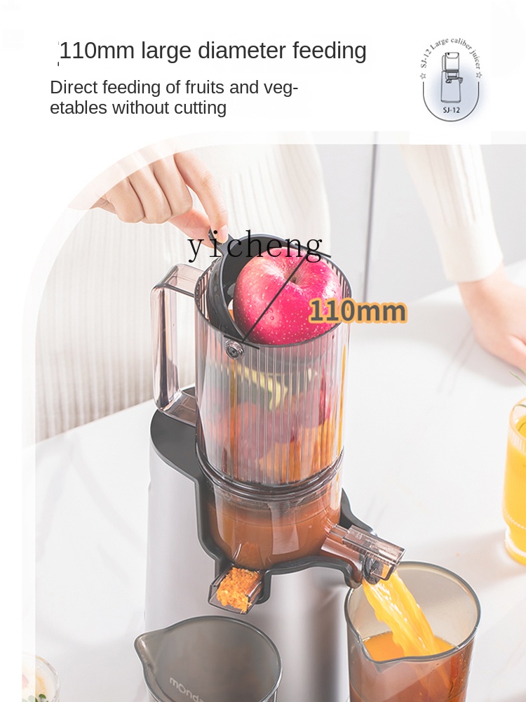 cc28 Juicer Automatic Slag Jui - Juicer recension och pris